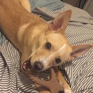 Meet your Posher, Micaela